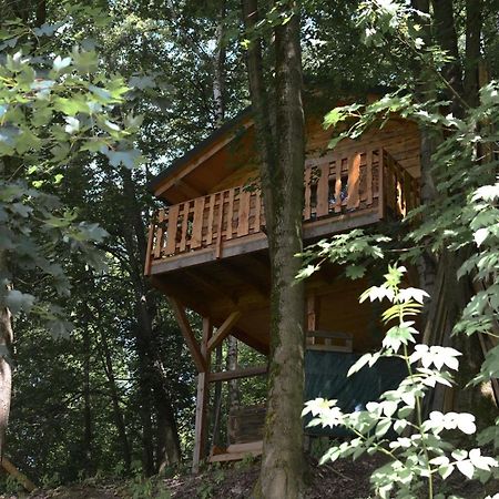 Treehouse Velké Losiny Eksteriør billede