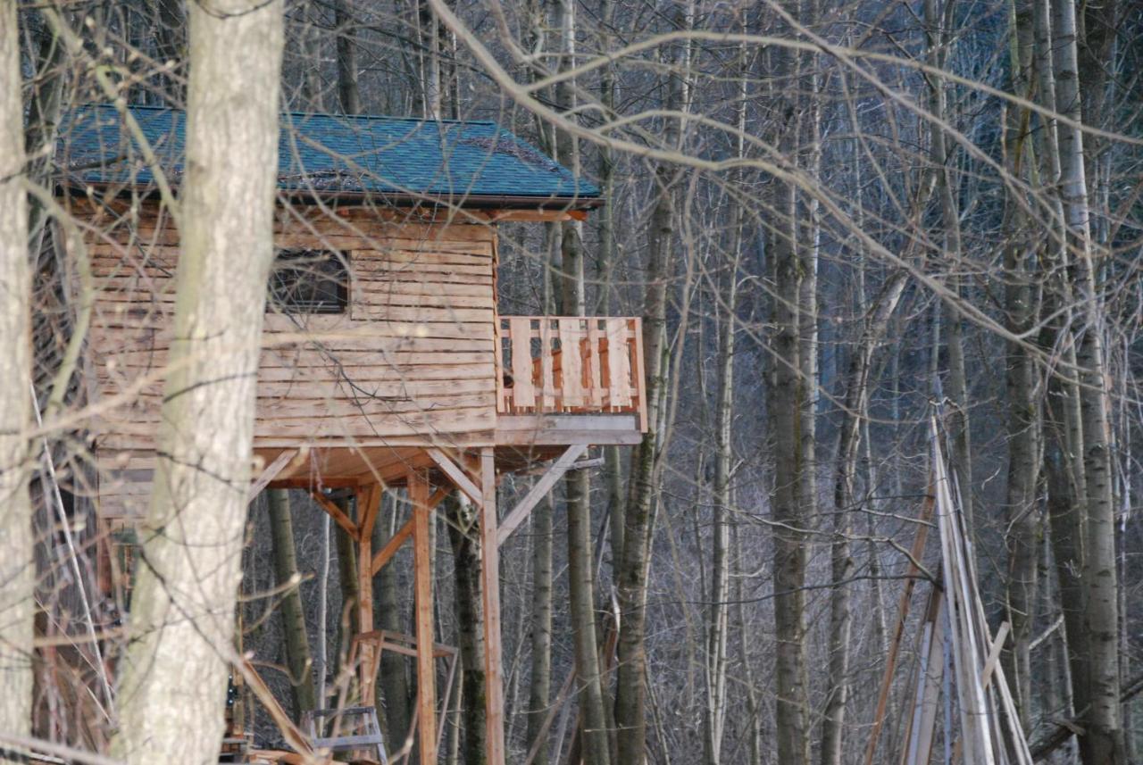 Treehouse Velké Losiny Eksteriør billede