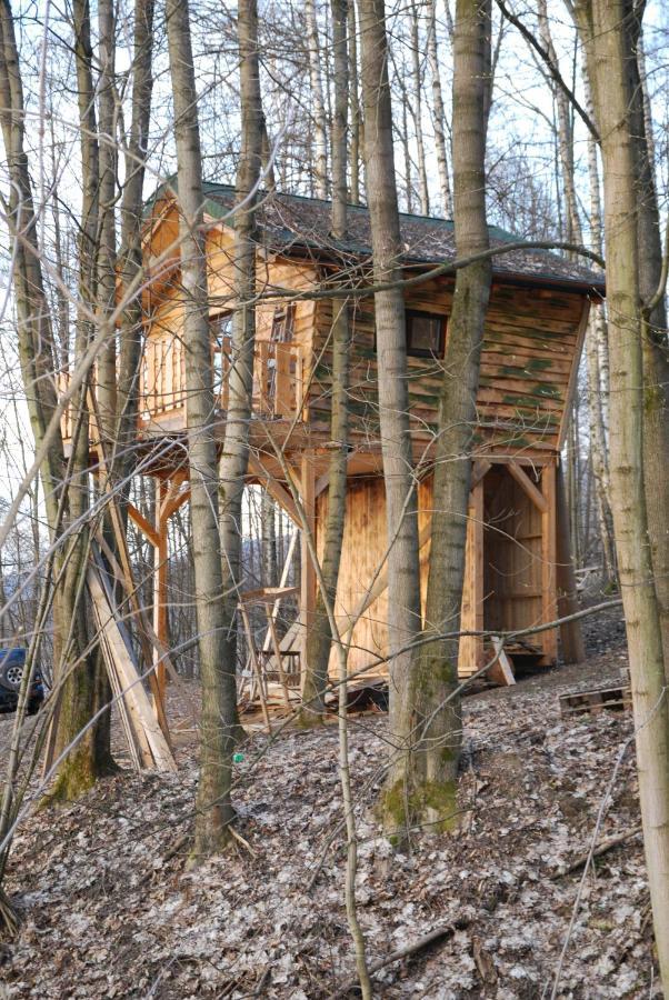 Treehouse Velké Losiny Eksteriør billede