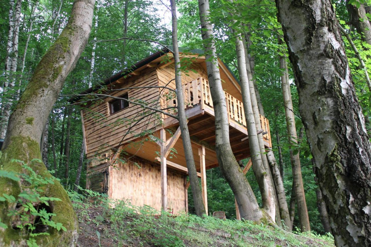 Treehouse Velké Losiny Eksteriør billede