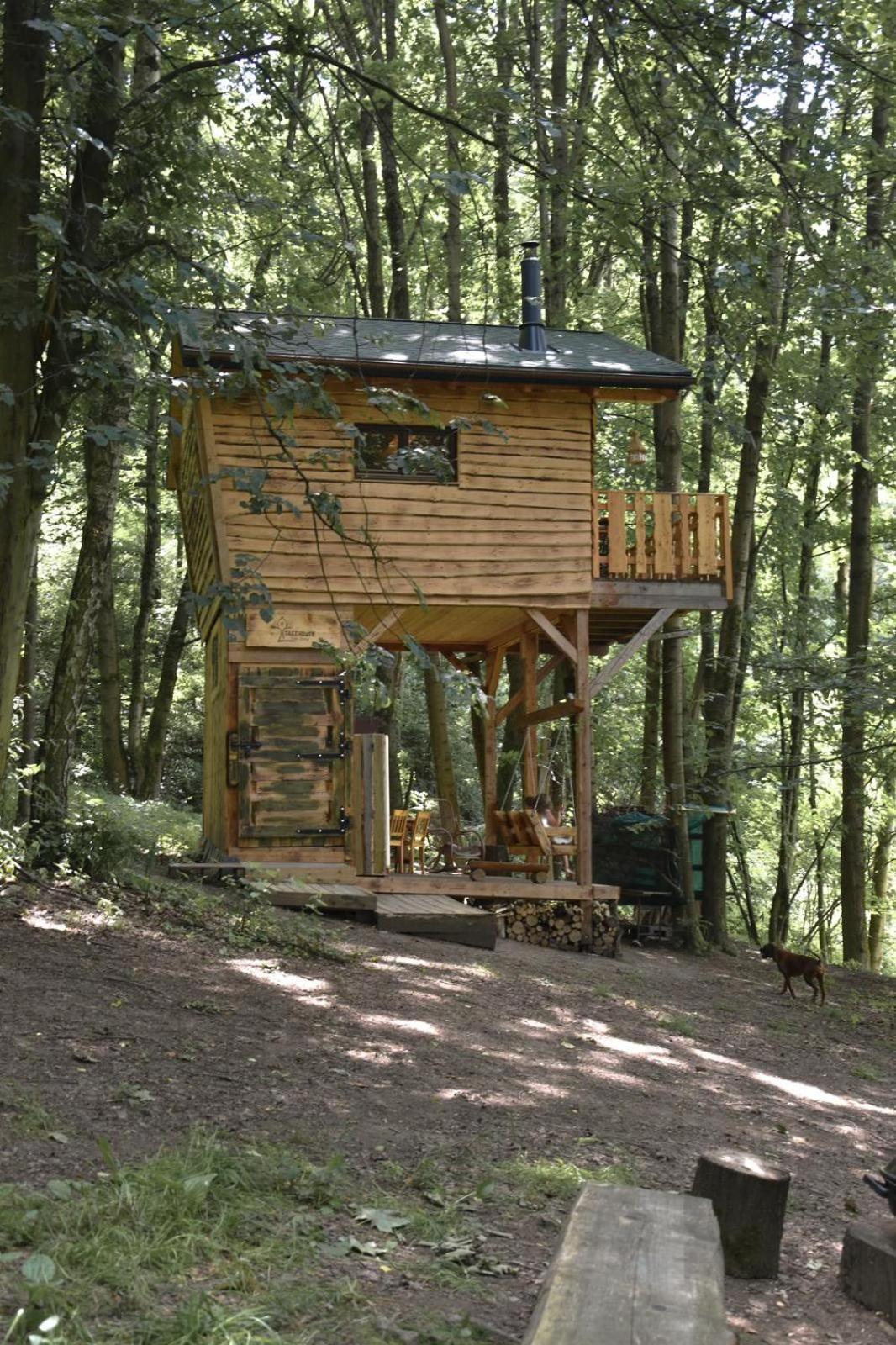 Treehouse Velké Losiny Eksteriør billede