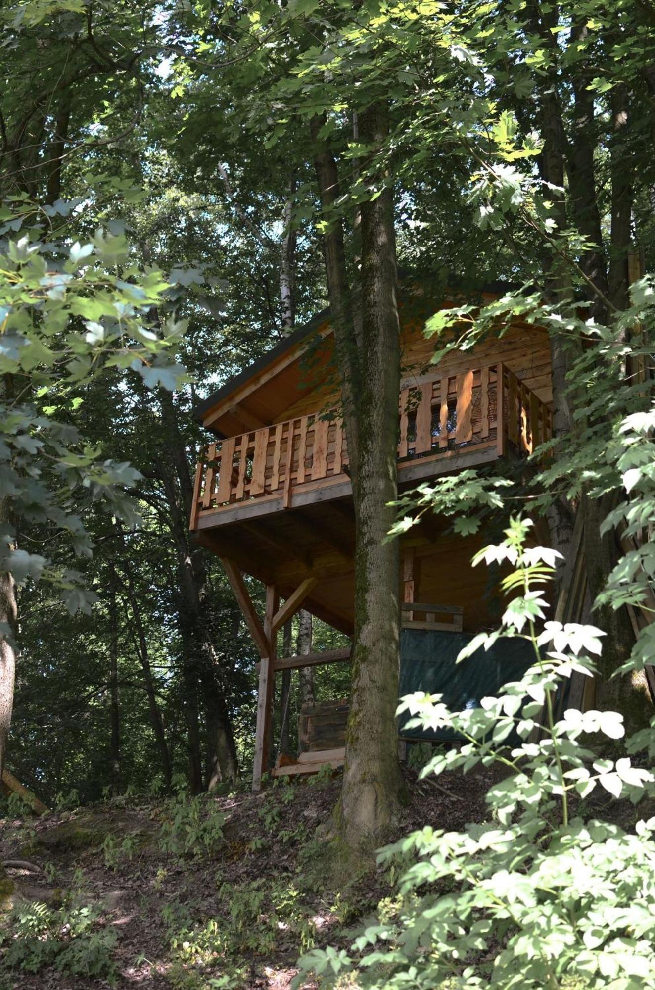 Treehouse Velké Losiny Eksteriør billede
