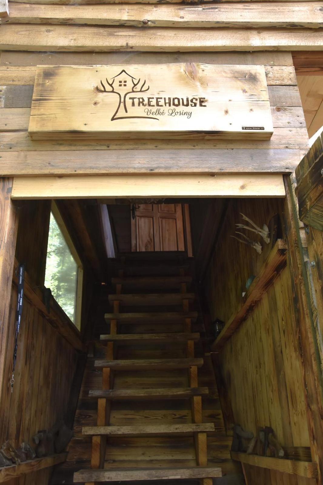 Treehouse Velké Losiny Eksteriør billede